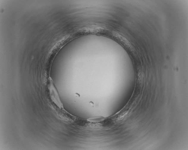 X0000070340403200606301746