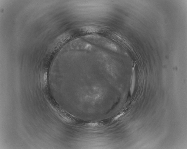 X0000070340406200606301746