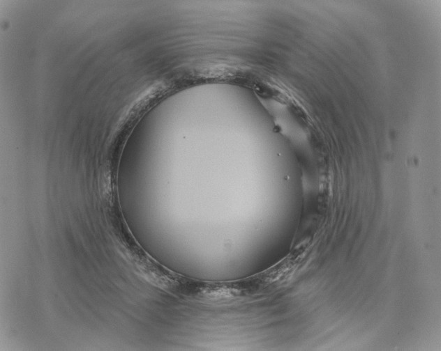 X0000070340407200606301746