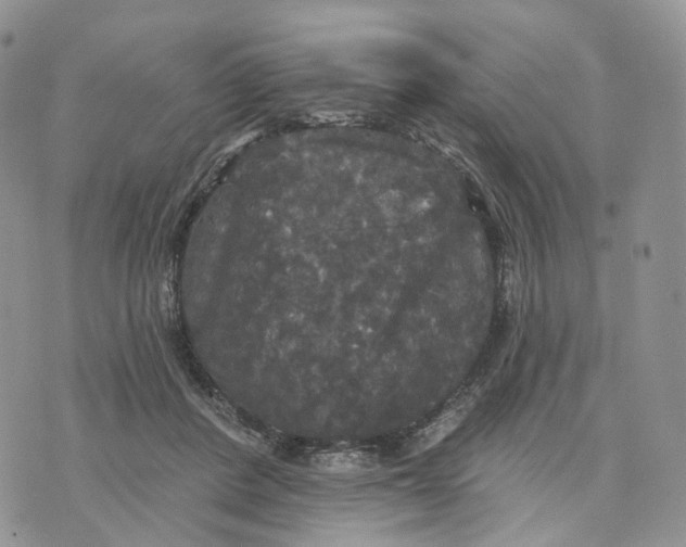 X0000070340408200606301746