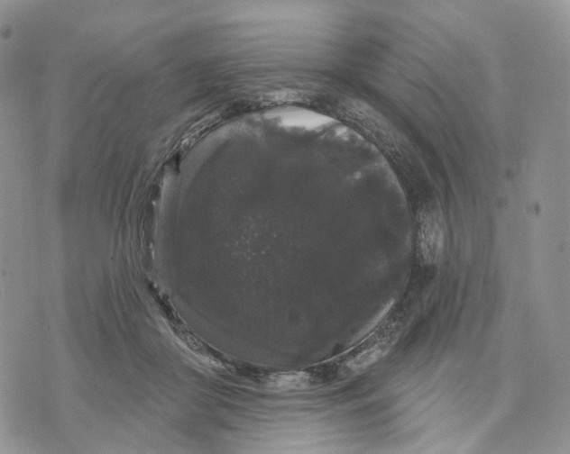 X0000070340410200606301746