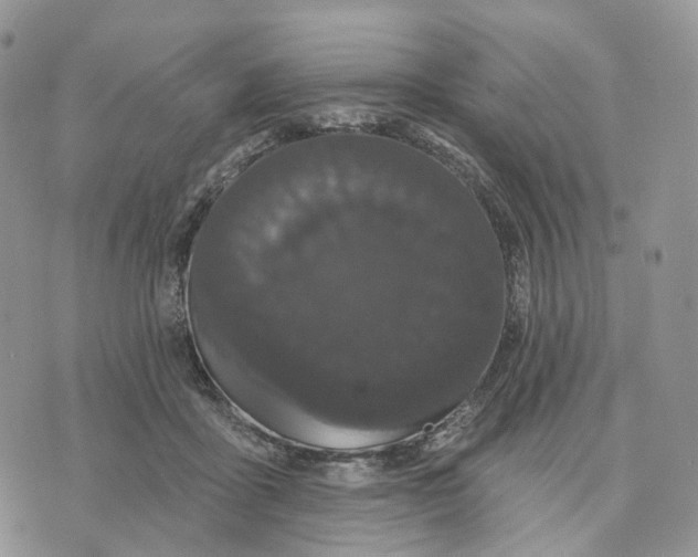 X0000070340411200606301746