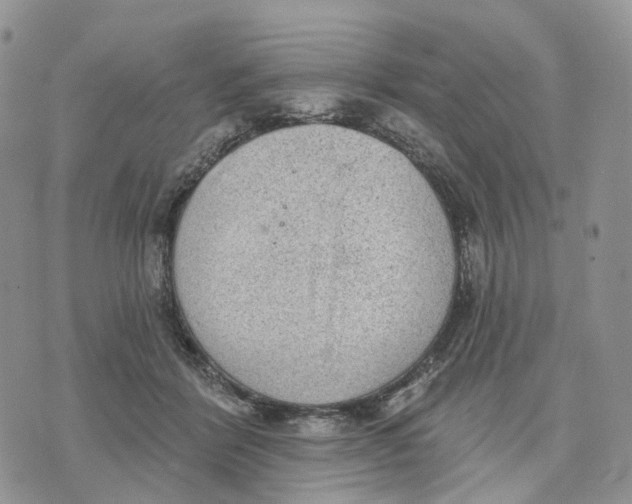 X0000070340412200606301746