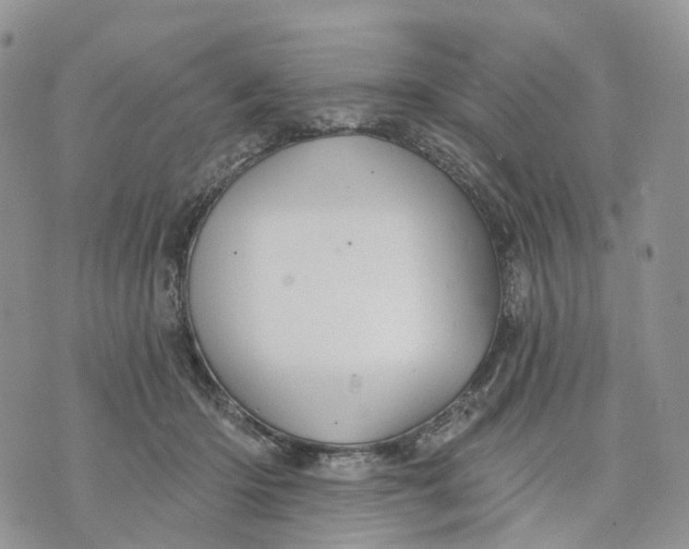 X0000070340414200606301746