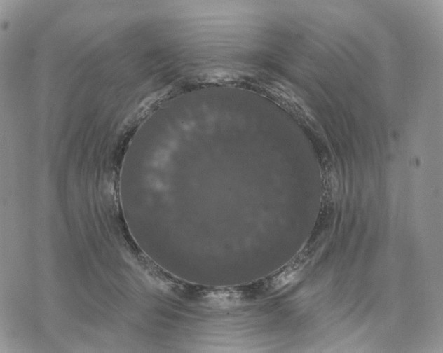 X0000070340415200606301745