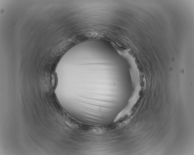 X0000070340416200606301745