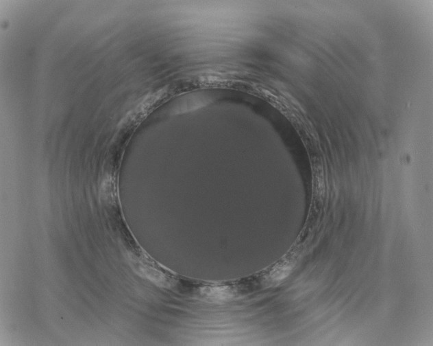 X0000070340419200606301745