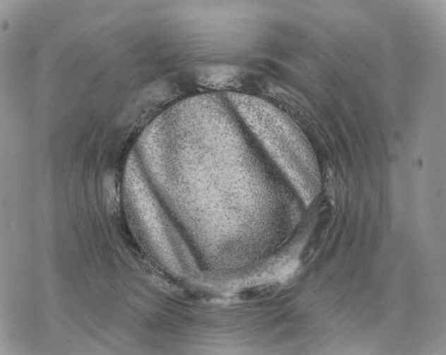 X0000070340420200606301745