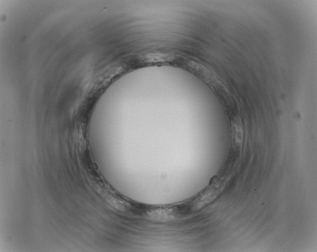 X0000070340422200606301745