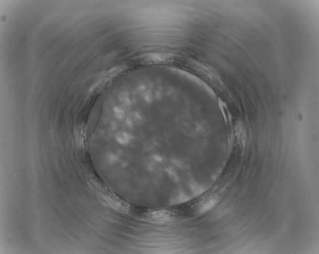 X0000070340423200606301745