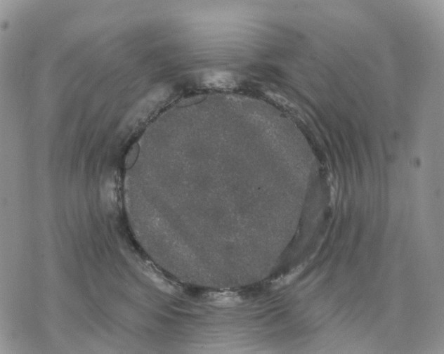 X0000070340424200606301745