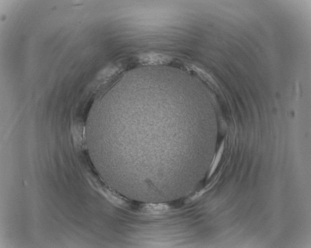 X0000070340429200606301745