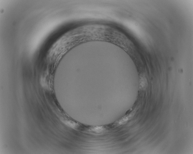 X0000070340431200606301745