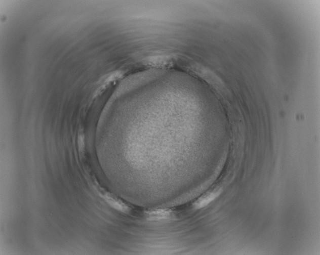 X0000070340432200606301745