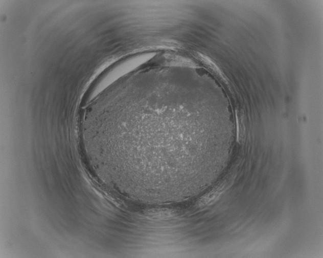 X0000070340435200606301744