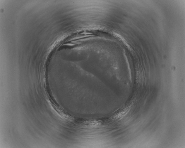 X0000070340443200606301745