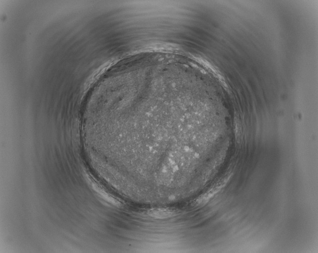 X0000070340445200606301745