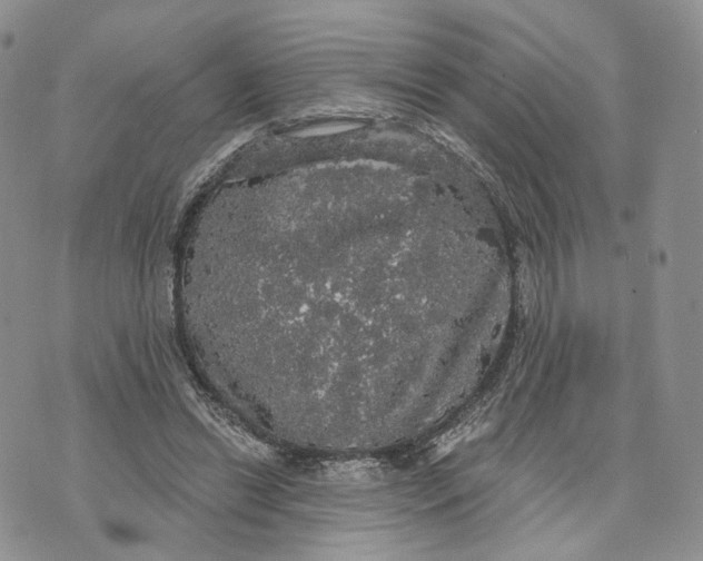 X0000070340446200606301745