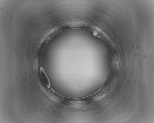 X0000070340448200606301745