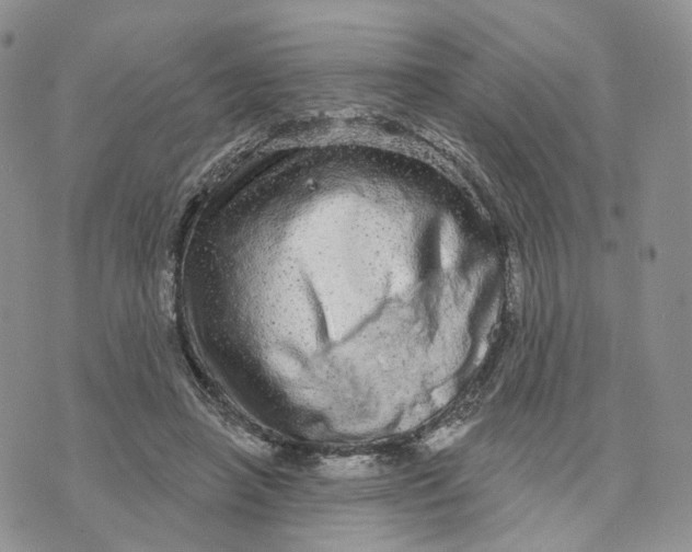 X0000070340450200606301745