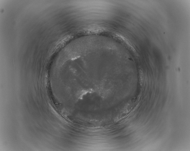 X0000070340451200606301745