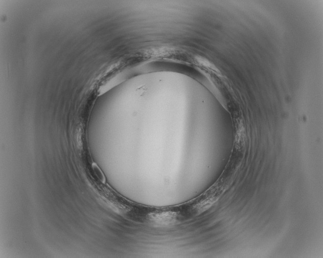 X0000070340452200606301745