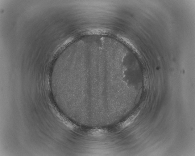 X0000070340453200606301745