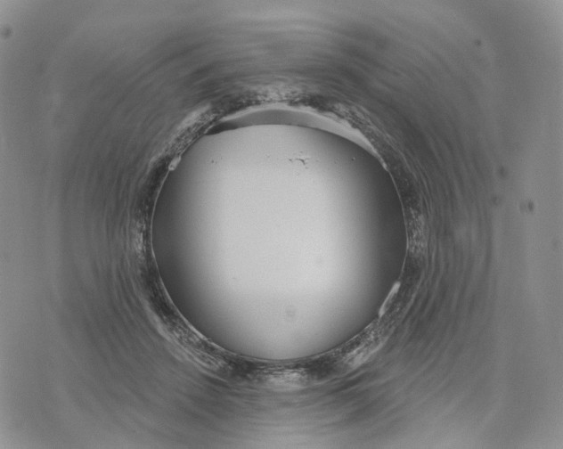 X0000070340456200606301745