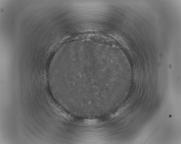 X0000070340457200606301745