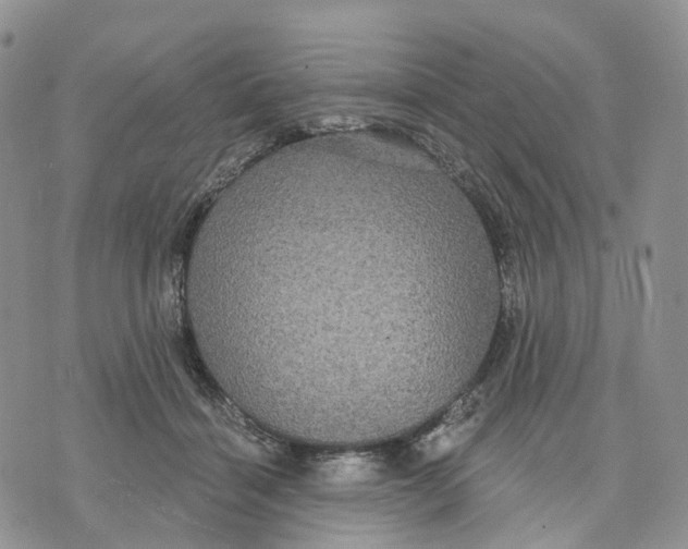 X0000070340460200606301745