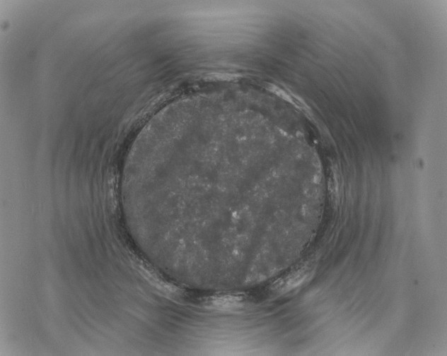 X0000070340462200606301745