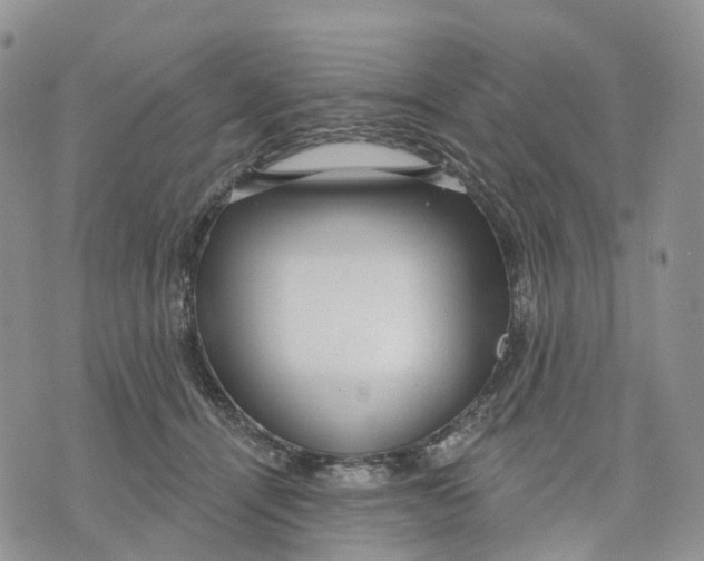 X0000070340464200606301745