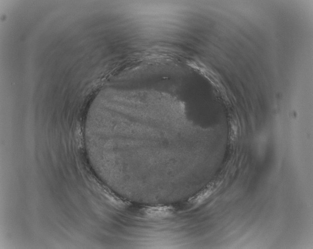 X0000070340465200606301745