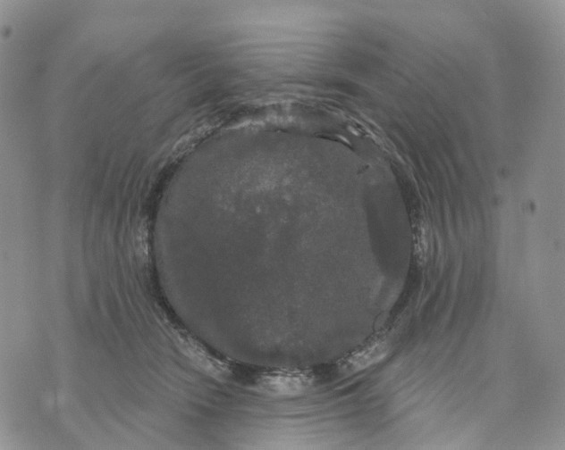 X0000070340466200606301745