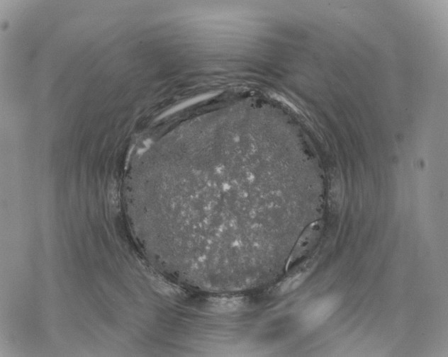 X0000070340469200606301745