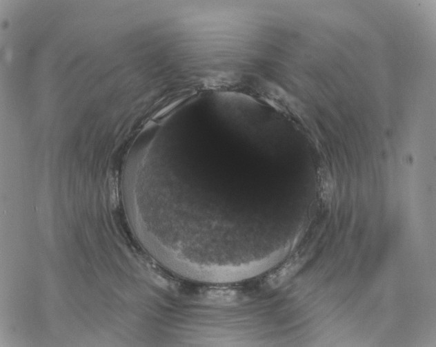 X0000070340471200606301745