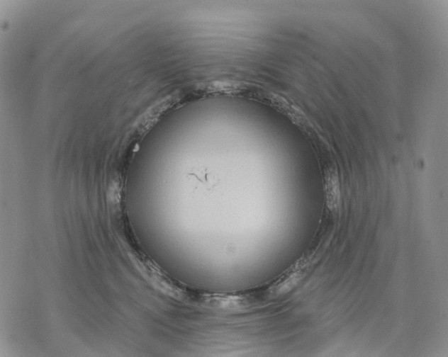 X0000070340472200606301745