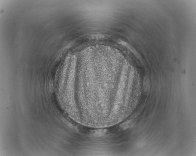 X0000070340474200606301745