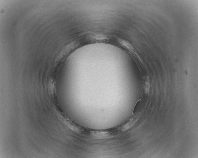 X0000070340476200606301745