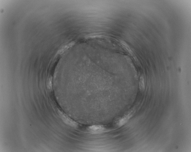 X0000070340477200606301745