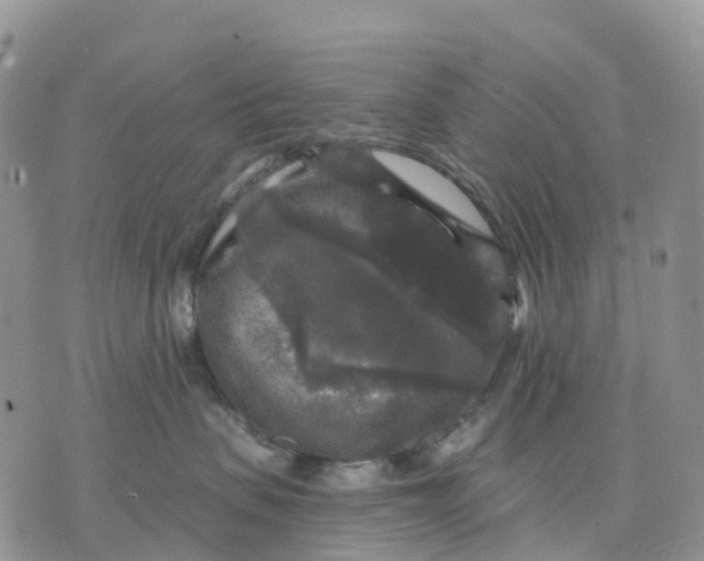 X0000070340479200606301745