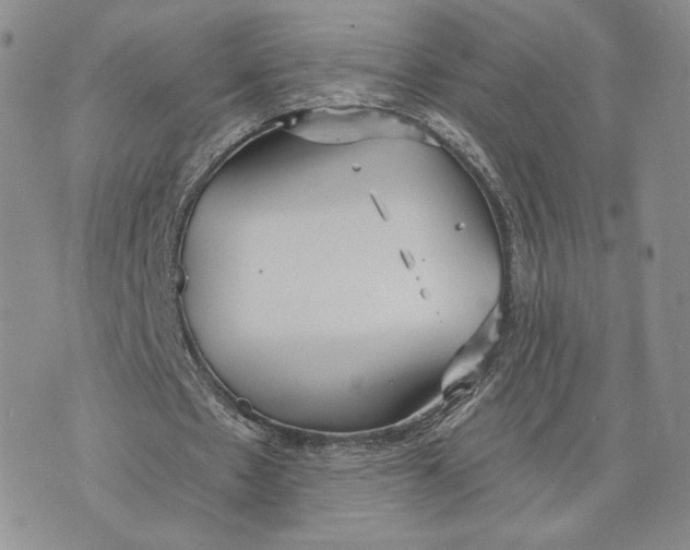 X0000070340481200606301744