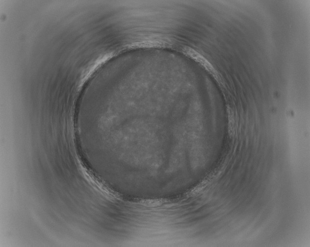 X0000070340482200606301744