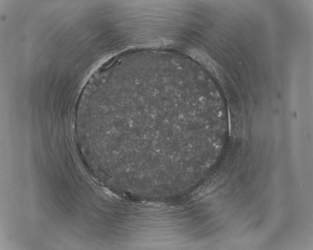 X0000070340483200606301744