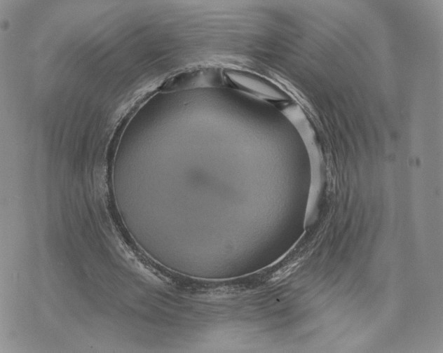 X0000070340485200606301744