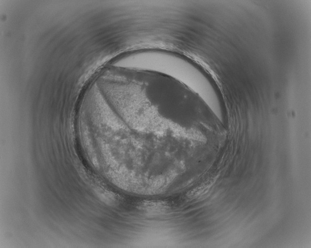 X0000070340487200606301744