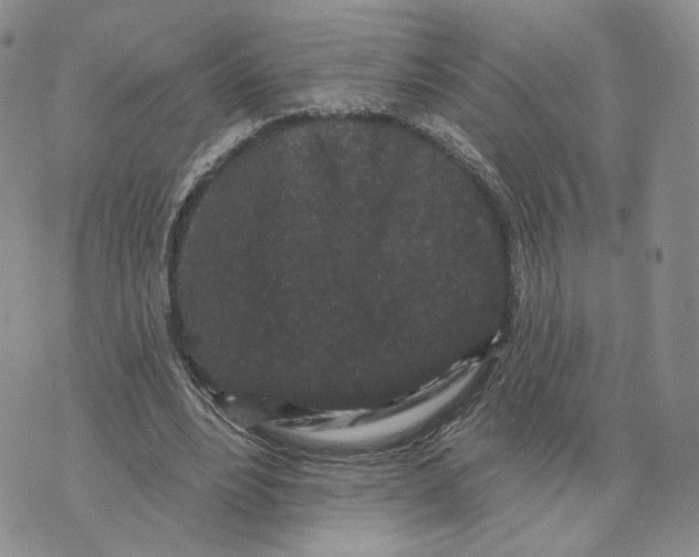 X0000070340488200606301744