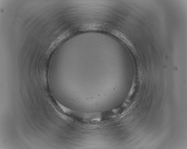 X0000070340489200606301744