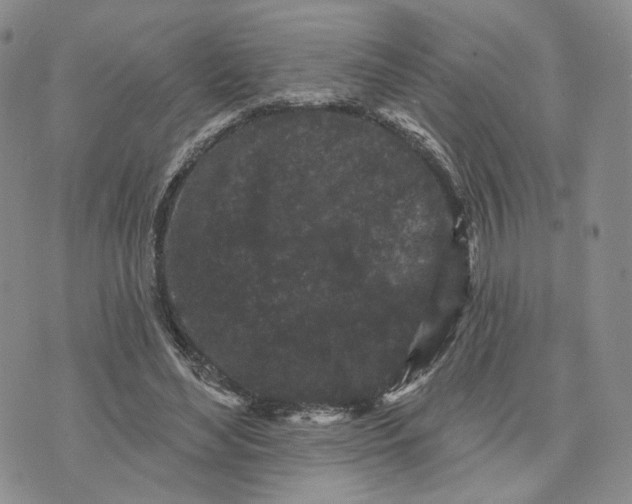 X0000070340492200606301744