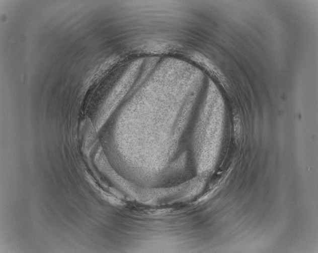 X0000070340493200606301744